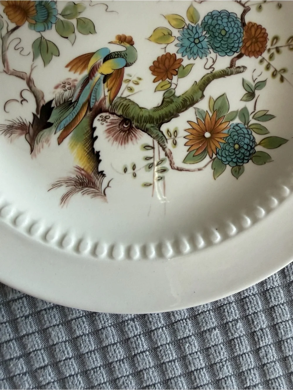 Decorative Floral Bird Ceramic Dinner Plate in Cream by Royal Cauldon Paradise